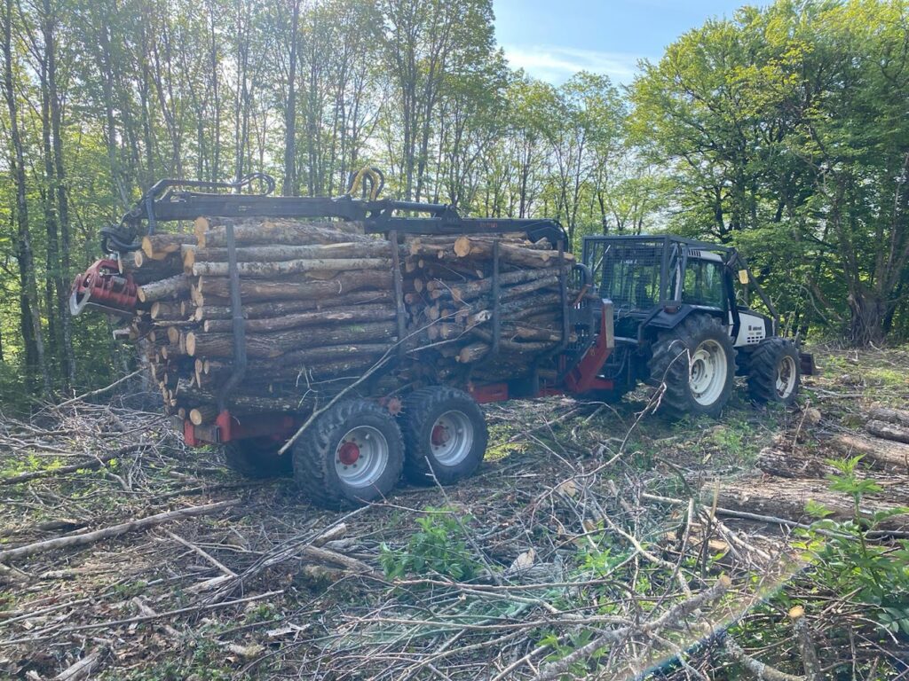 Bois de chauffage Travaux Forestiers Nivernais - Quentin Laudet