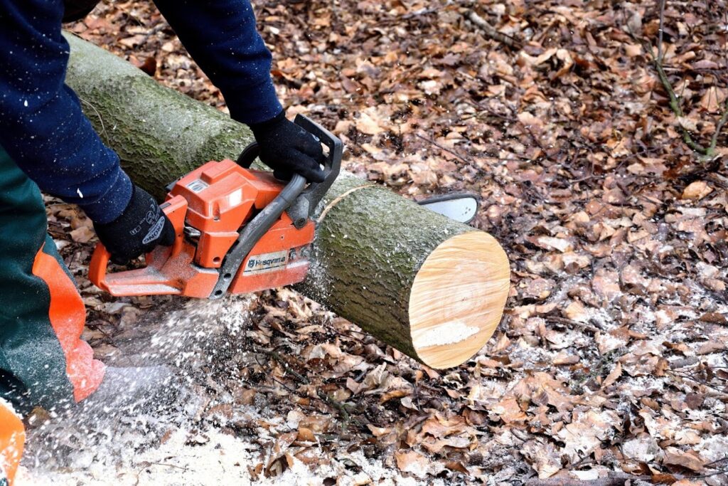 Bucheronage Travaux Forestiers Nivernais - Quentin Laudet